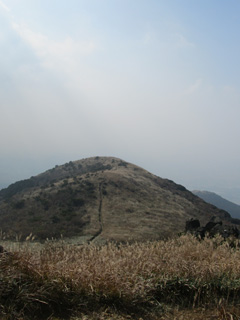 1109_7946.jpg
