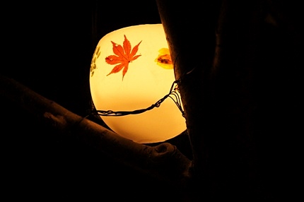 小樽雪あかりの路