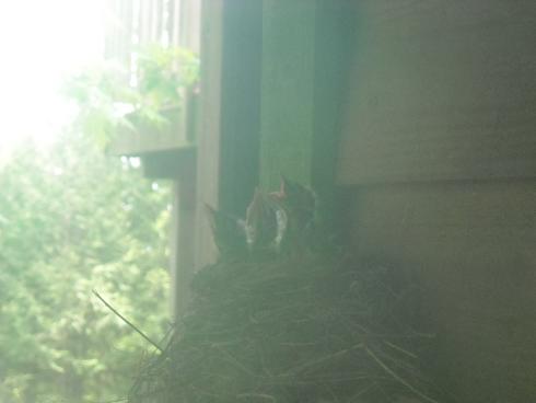 2012.05.07.-5