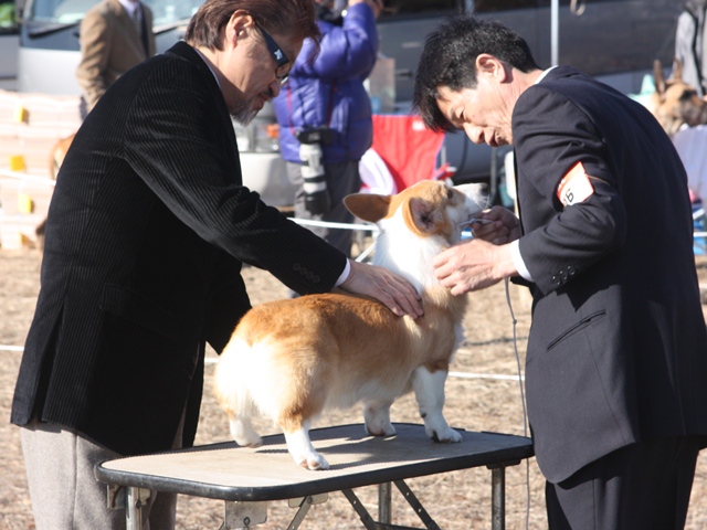 IMG_0432 - コピー.JPG