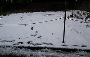 DSC_1178-18.jpg