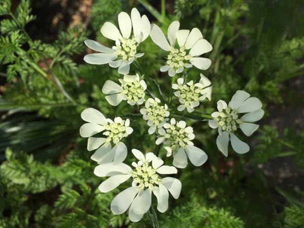 rblog-20160424230329-09.jpg
