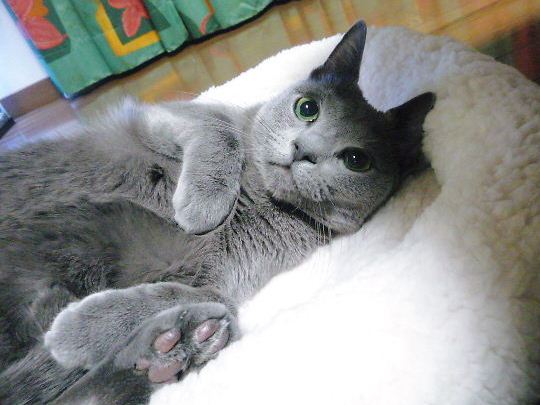 2014年12月10日_P1210224 - コピー.jpg