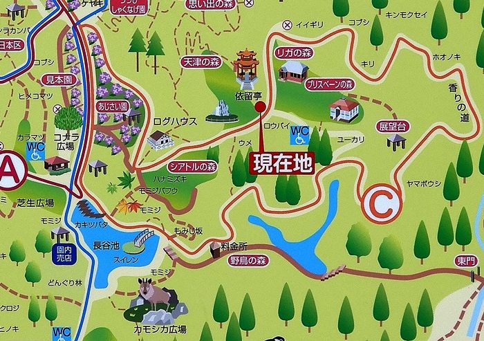 マップ