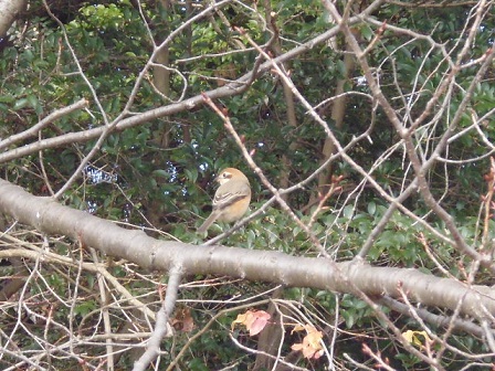 P1020166.JPG