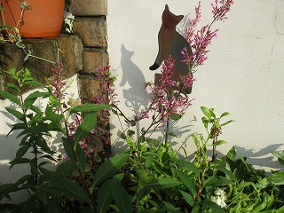 IMG_7282ss.jpg