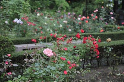 20170613-2.jpg