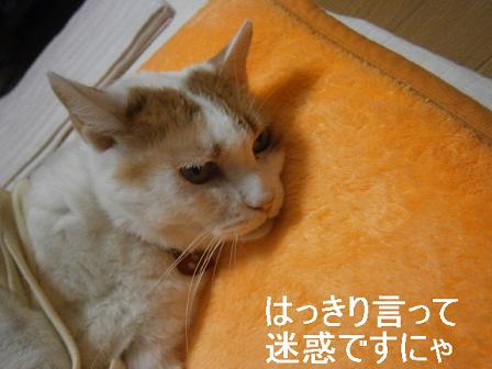 maru