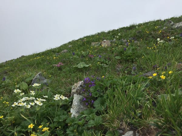 rblog-20170715130141-01.jpg