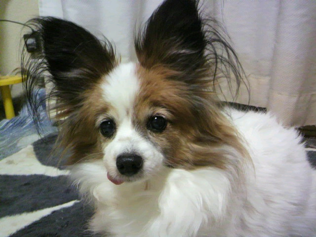 2012-02-12 22:28:02