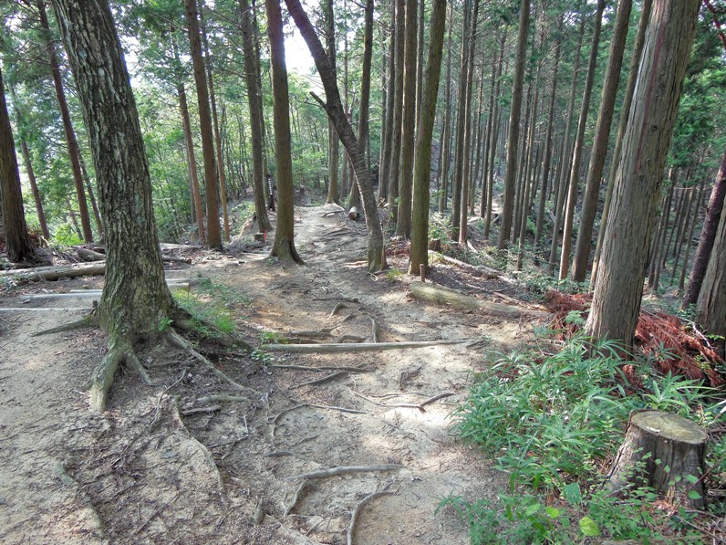 山道