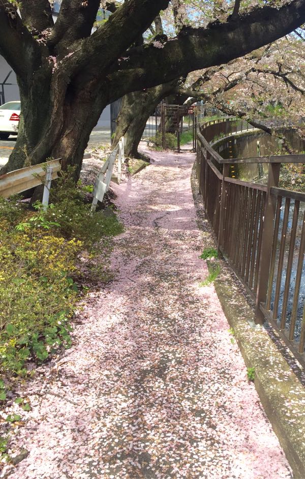 rblog-20160410104556-01.jpg