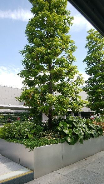 rblog-20180625213506-05.jpg