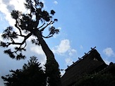 IMG_1388.JPG
