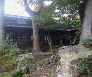 アニメ　ニテコ