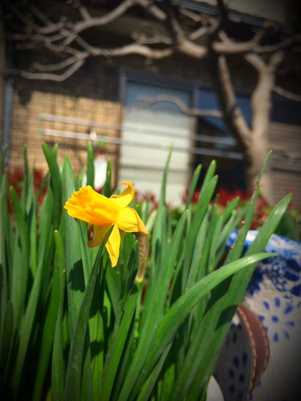 rblog-20150331195834-03.jpg