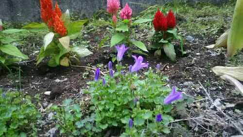 rblog-20170525000213-00.jpg