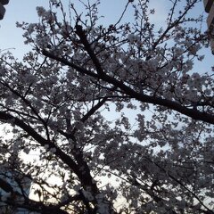 分4月6日 015.jpg