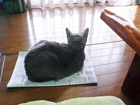 2014年11月08日_P1200945.jpg