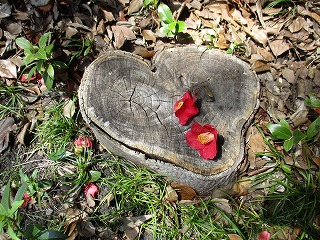 IMG_7359ss.jpg