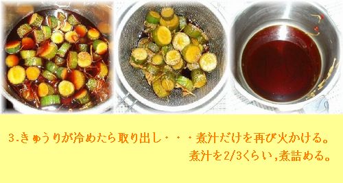 きゅうり　画像３枚セット