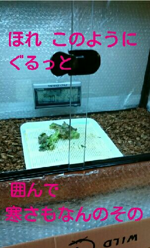 rblog-20151012154647-01.jpg