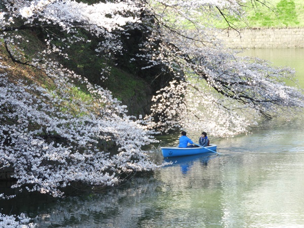 千鳥ヶ淵緑道