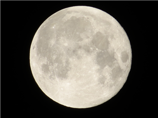 IMG_1222.png