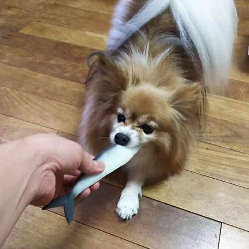 rblog-20180520212629-01.jpg