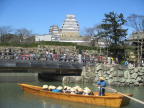 わせん