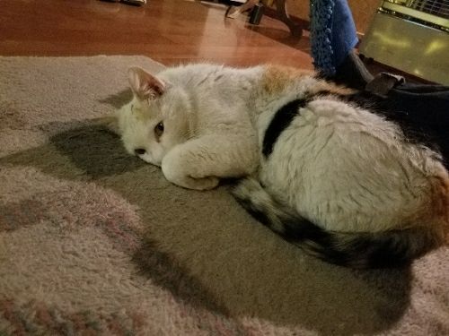 rblog-20180408095343-02.jpg