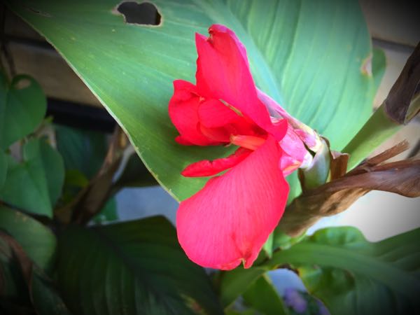 rblog-20151025172038-00.jpg