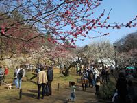 IMG_4978_R.JPG