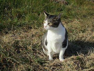 IMG_5433ss.jpg