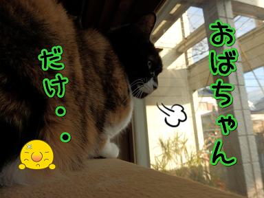 おばちゃん.JPG
