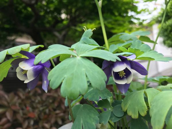 rblog-20180430174801-02.jpg