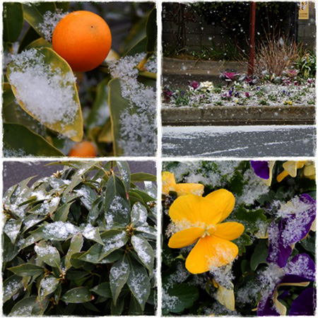 雪２