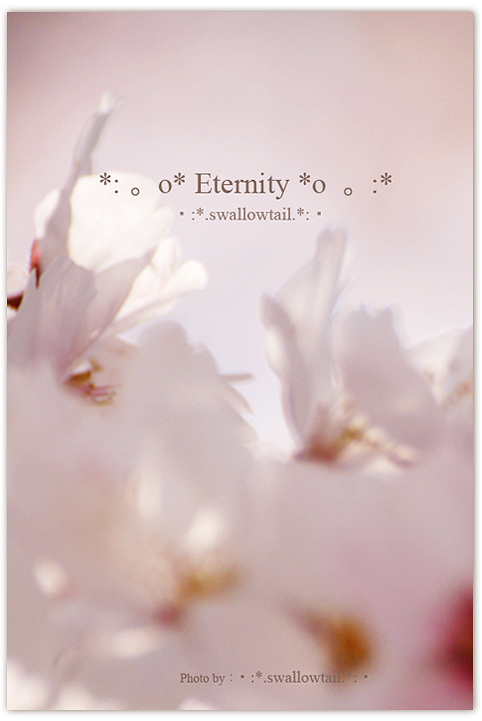 Photo by swallowtail　D.jpg