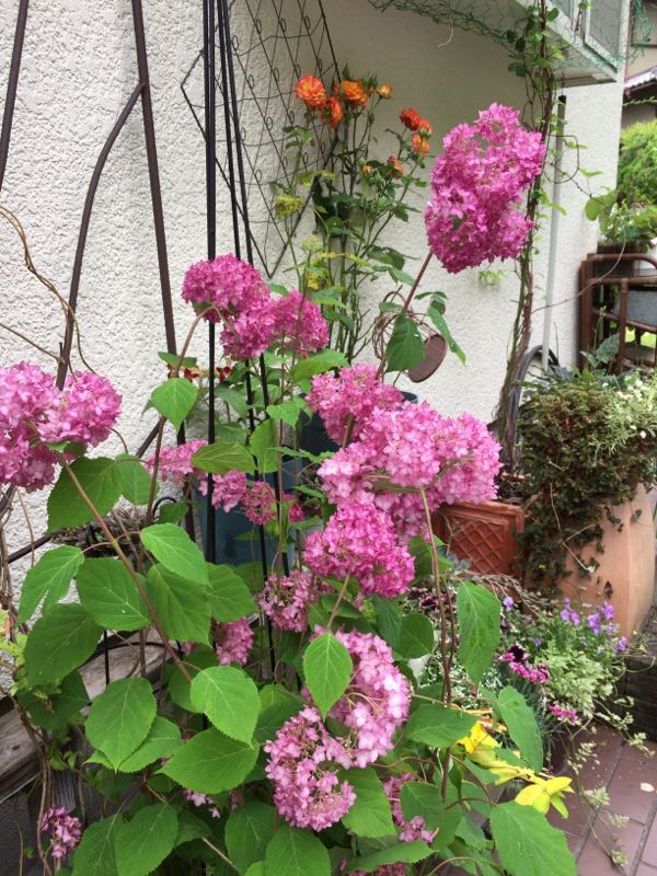 rblog-20170622195547-01.jpg