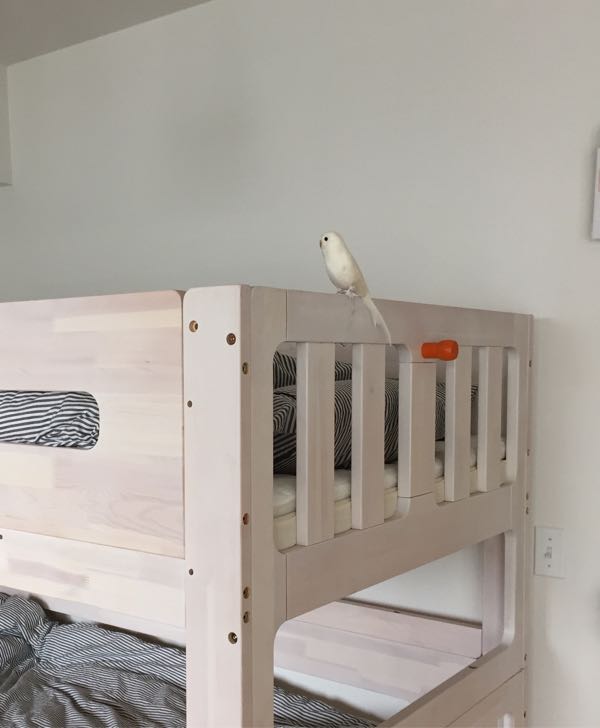 rblog-20150414110841-01.jpg