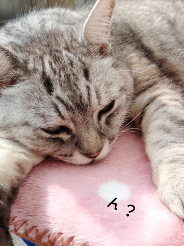 120222_3.jpg