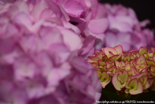 クリツィアがミラノでセクシーな夏をプレゼント