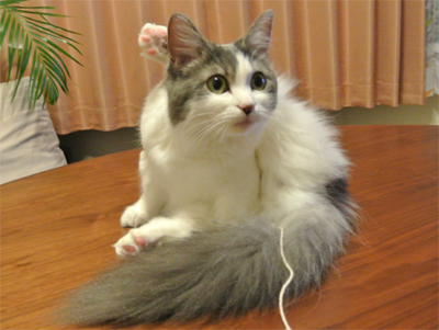 mumu3.jpg