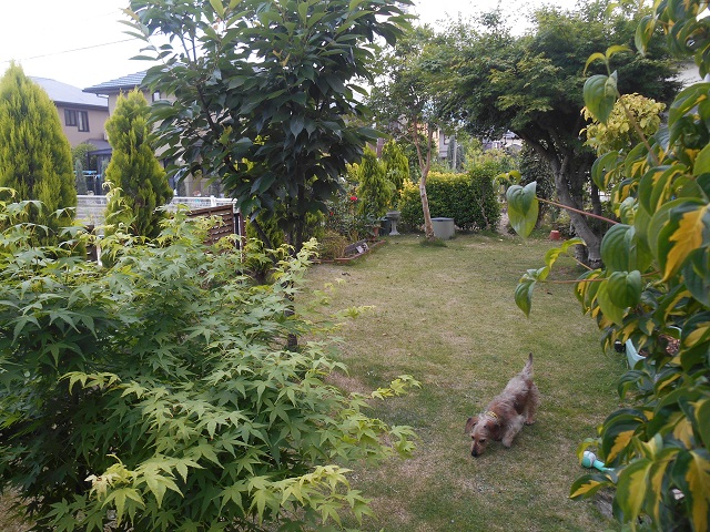 DSCN1855.JPG