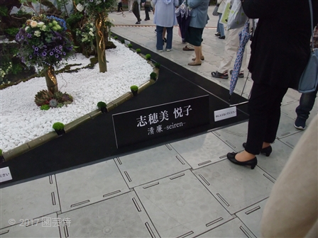 2017_05130037.jpg