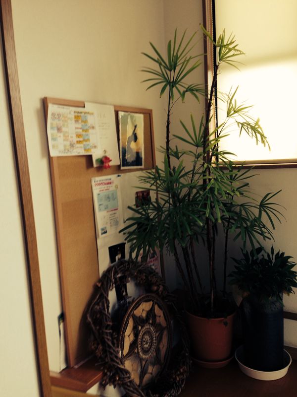 rblog-20160130190946-02.jpg
