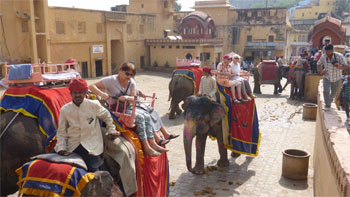 インド599.jpg