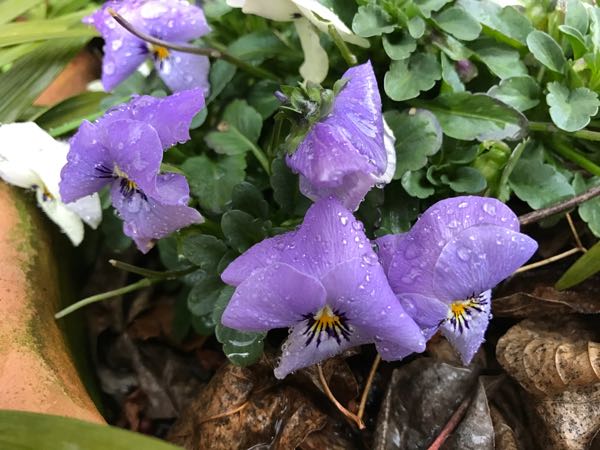rblog-20170223222238-04.jpg