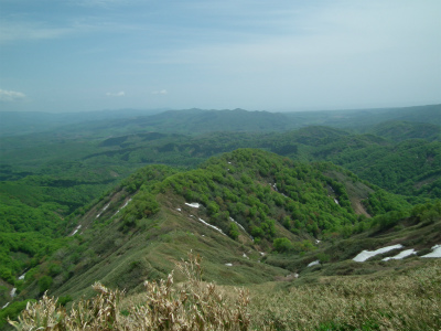 DSCF4557.jpg