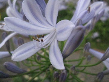 IMG_9183.JPG